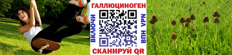 Купить  Ставрополь  Галлюциногенные грибы мицелий 